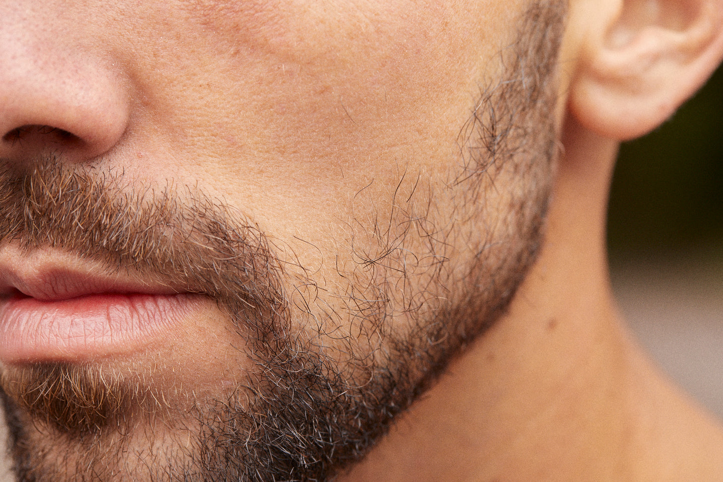 Gesichtscreme mit Birkenwasser 30 ml