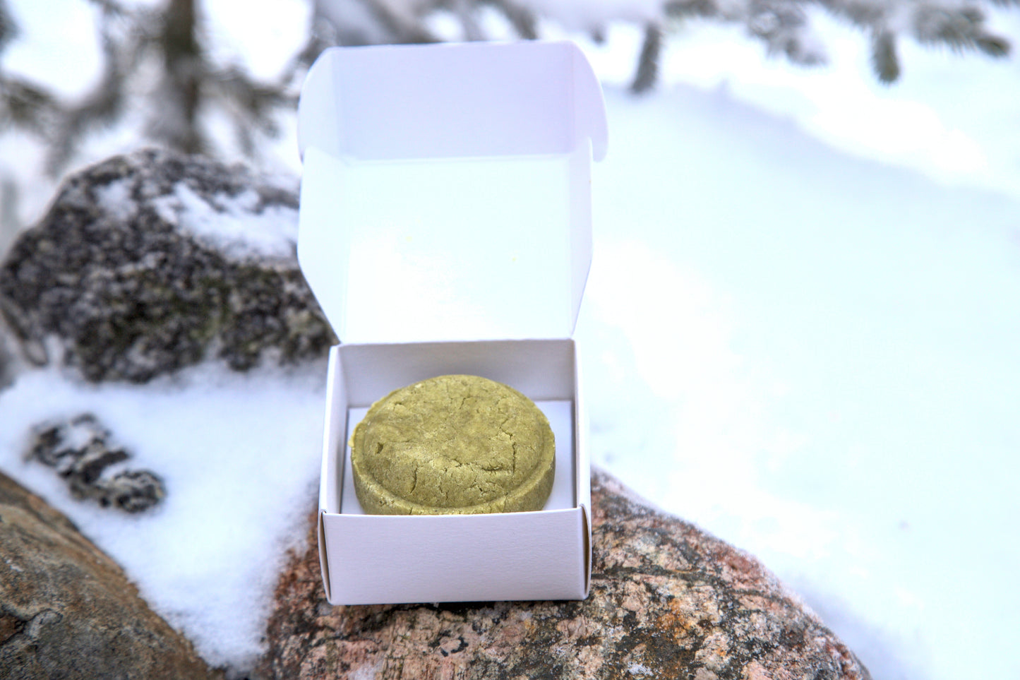 Festes Shampoo Birke-Waldduft 60 g