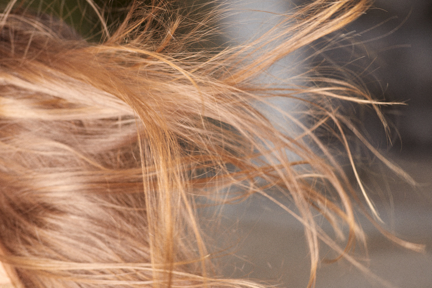 Haarbalsam mit Birkenwasser 100 ml