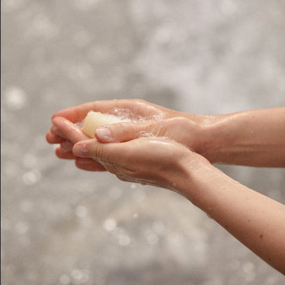 Birkenhandseife Zirbe