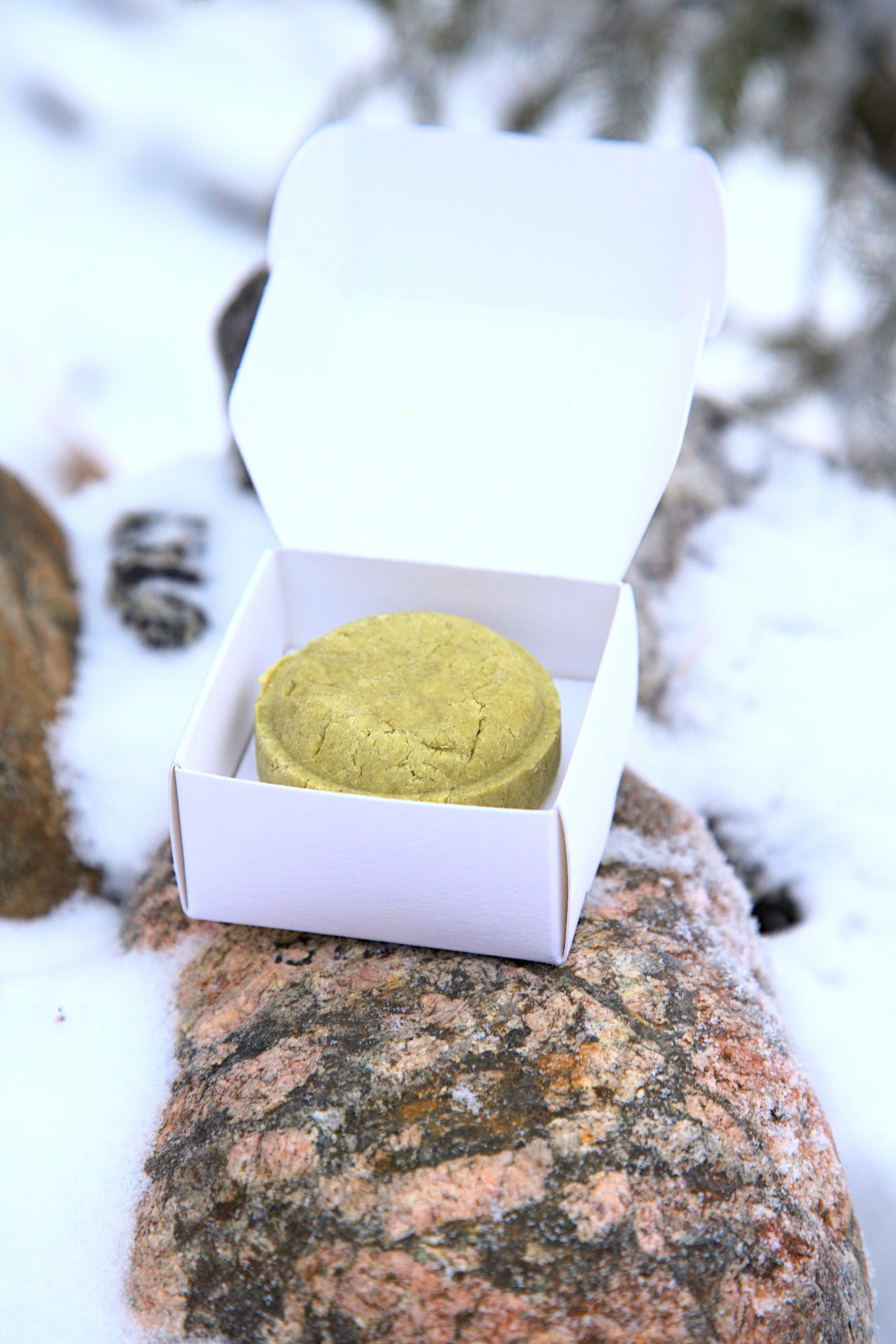 Festes Shampoo Birke-Waldduft 60 g